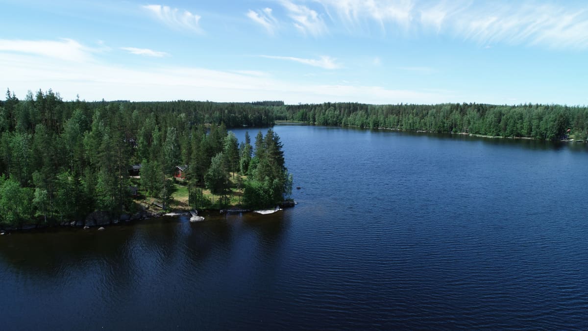 Ilmakuva Virmajärven rannalla olevasta mökistä