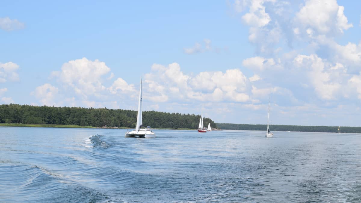 Veneitä Saaristomerellä heinäkuussa 2019.