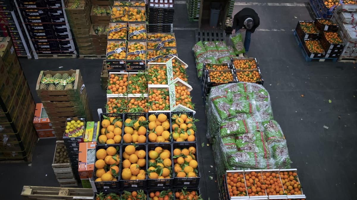 Kuvassa varastohallissa laatikoissa vihanneksia ja hedelmiä, kuten appelsiineja, ananaksia ja tomaatteja. Kuva otettu Pariisissa Ranskassa. 