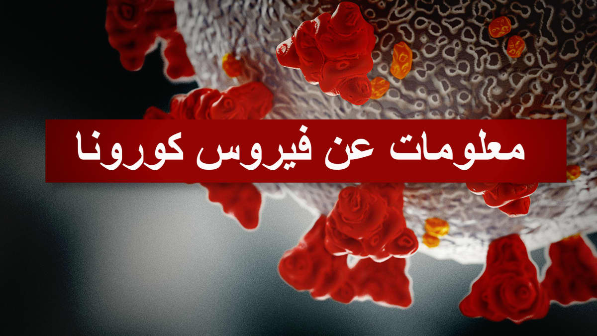 Arabiankielinen teksti, jossa lukee koronatietoa arabiaksi