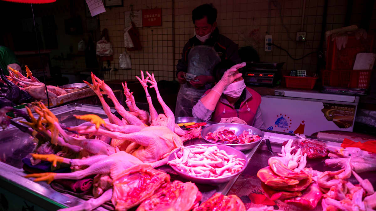Nainen myi teurastettuja kanoja eteläisessä Guangzhoun kaupungissa helmikuussa.