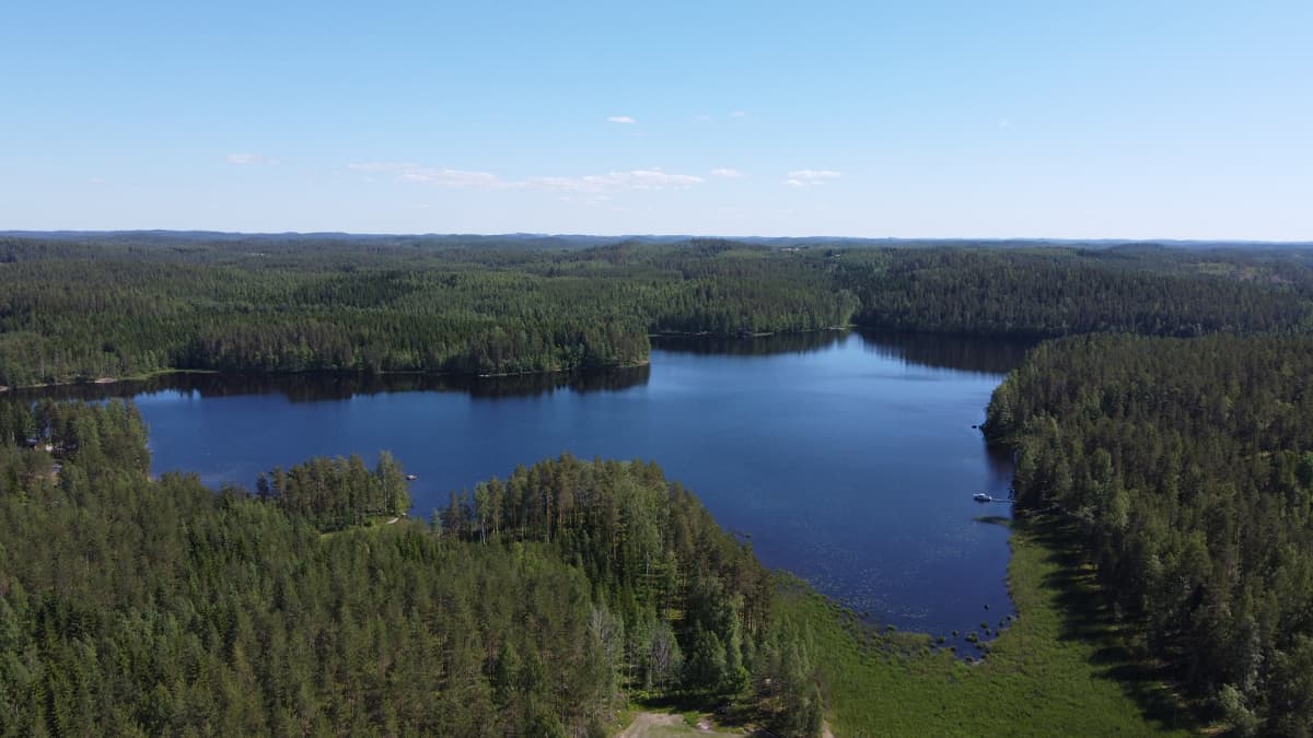 Sarkalahti ilmasta