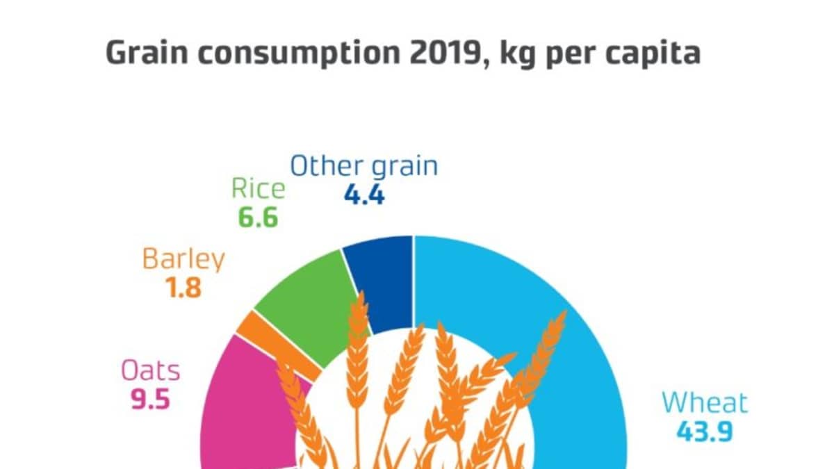 Grain consumption 2019 graph