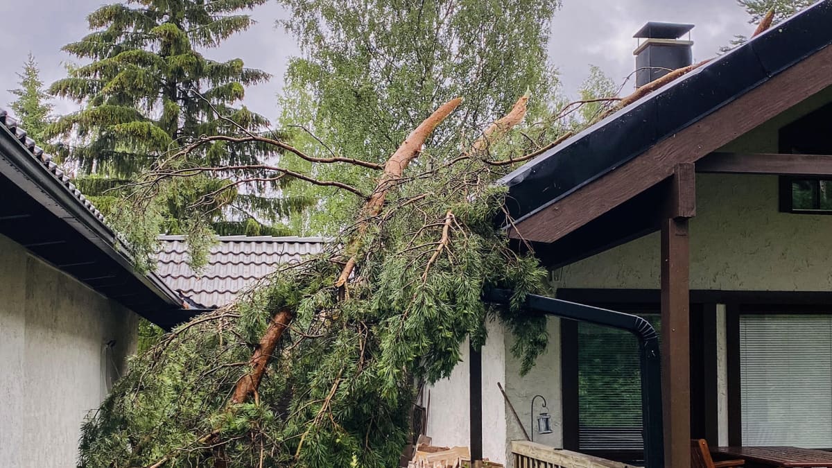 Puu kaatunut talon päälle myrskyssä.