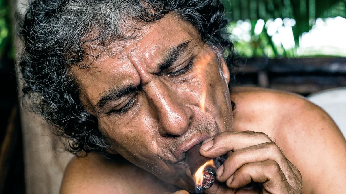 ayahuasca