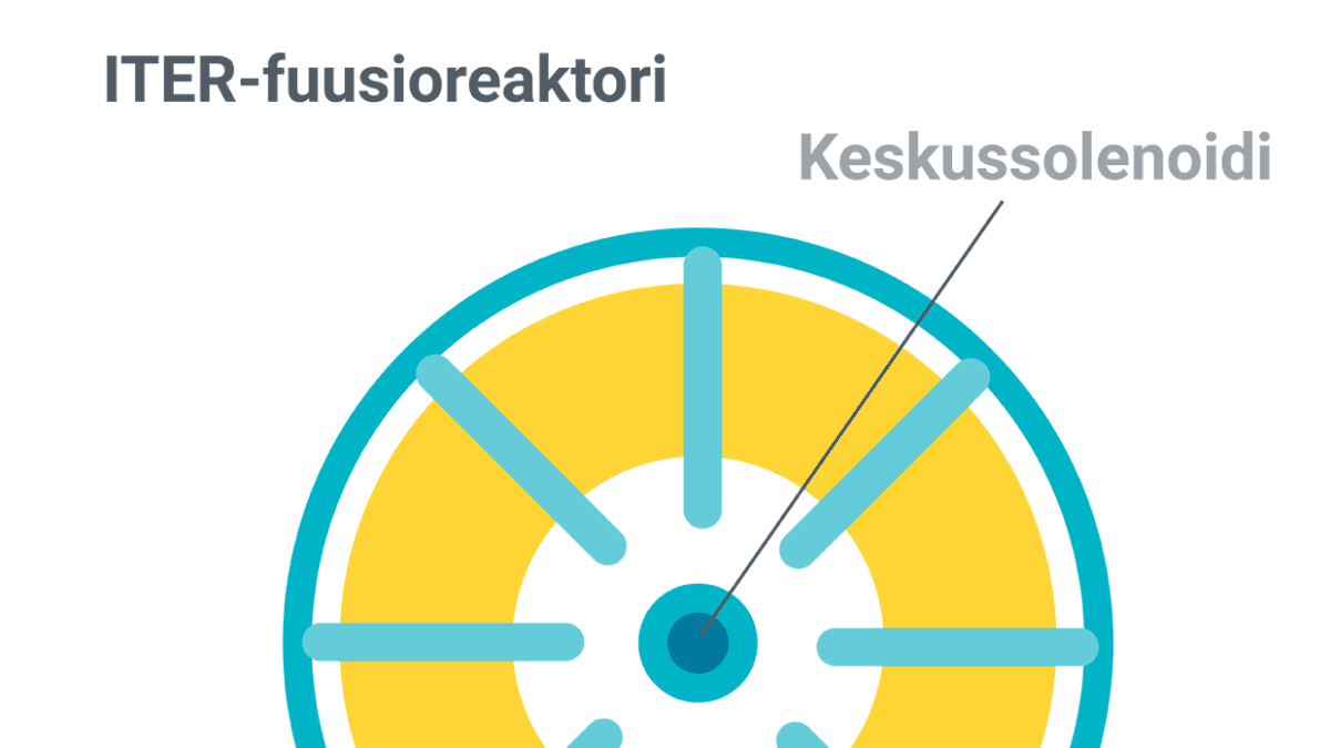 Infografiikka ITER-fuusioreaktorista