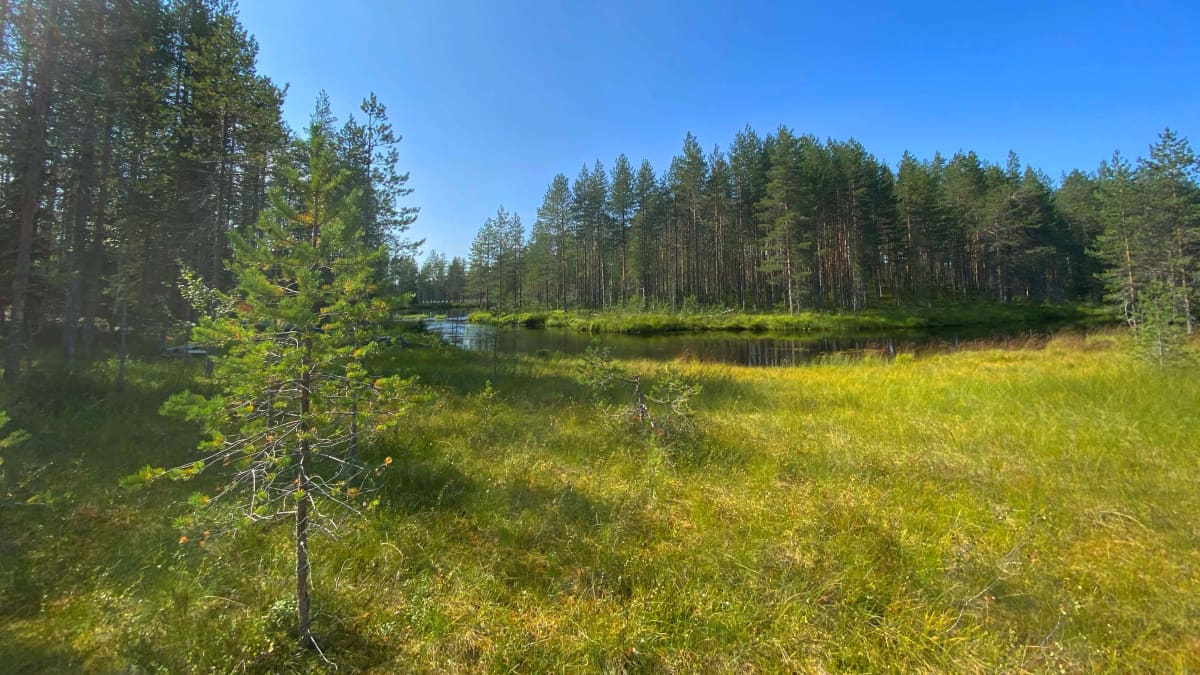 Tiilikkajärven kansallispuistossa on runsaasti vesistöä