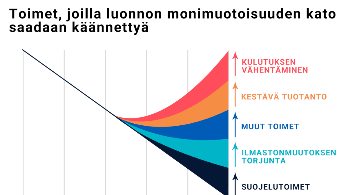 Toimet, joilla luonnon monimuotoisuuden kato saadaan käännettyä.