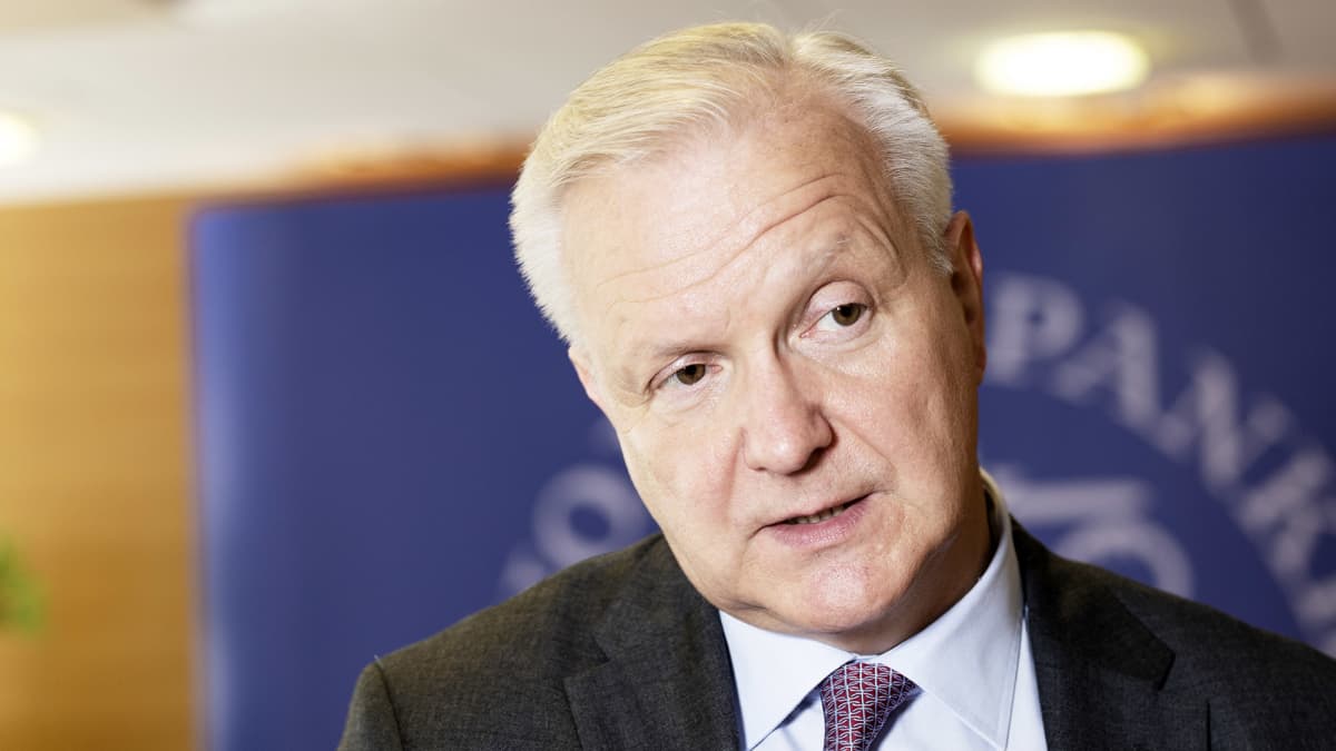 Olli Rehn