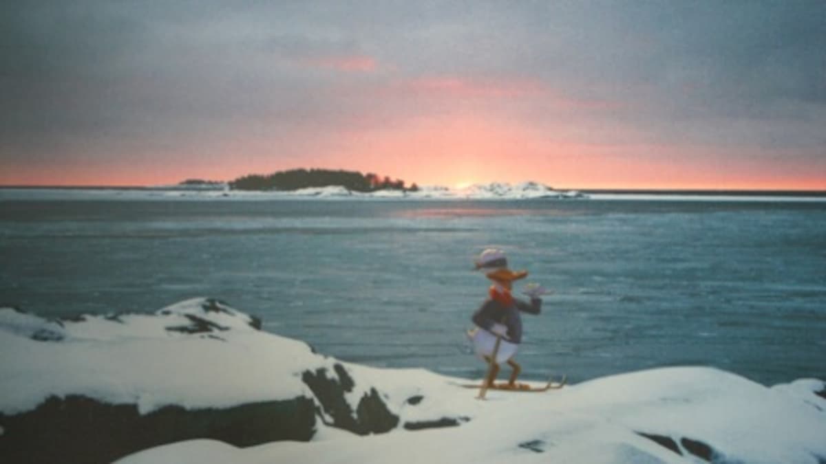 Taidemaalari Kaj Stenwallin ja valokuvaaja Janne Gröningin yhteisteos "Sokkotesti - Ski for The Sea".
