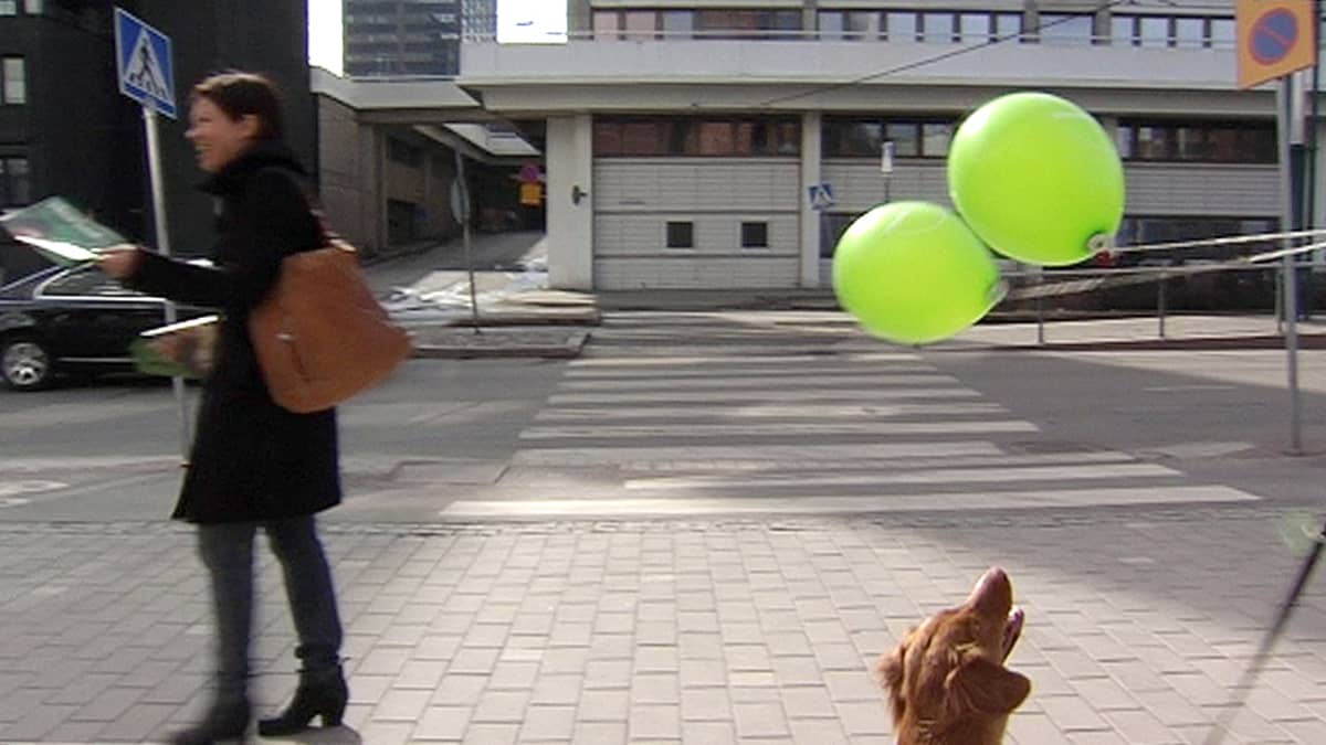 Nainen jakamassa lehtiä ja koira katselemassa ilmapalloja.
