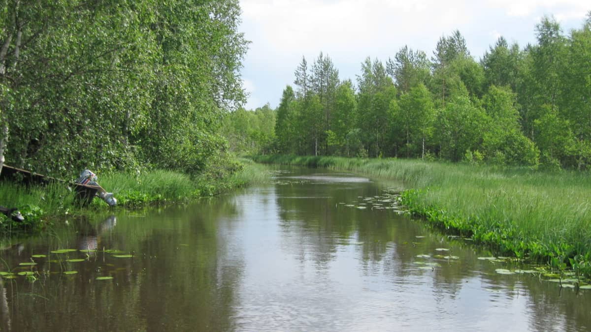 Jukajoessa on ollut takavuosina kalakuolemia.