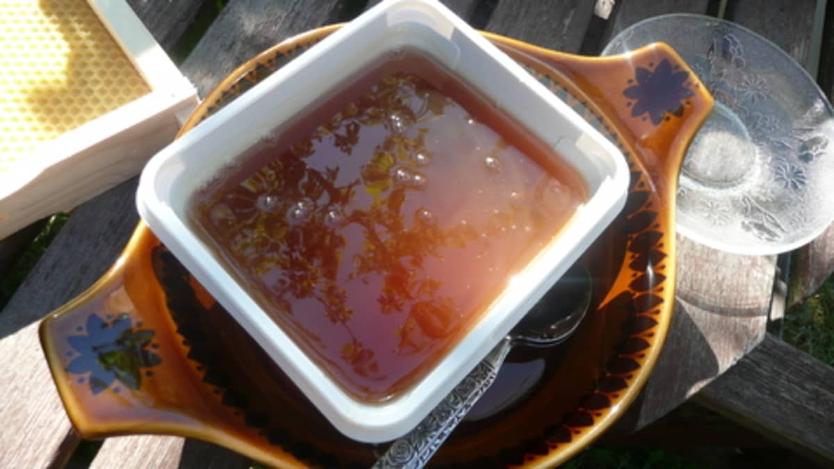Maatiaismehiläisten hunajaa.