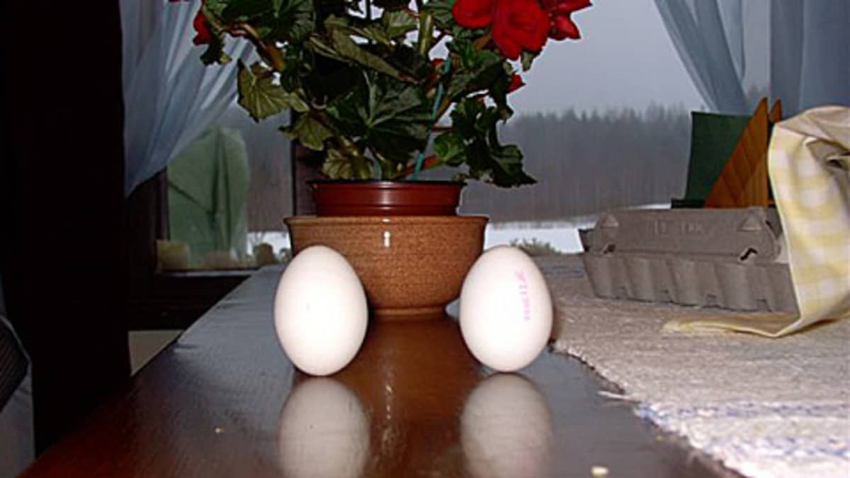 Kaksi kananmunaa pystyssä pöydällä