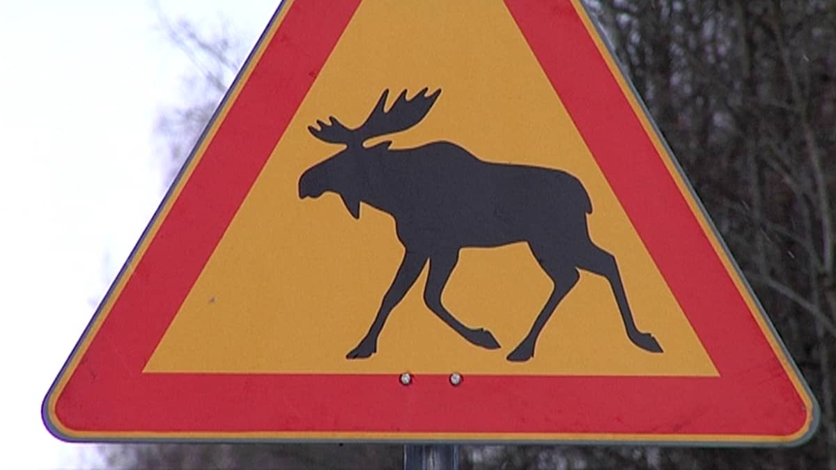 Hirvivaaramerkki.