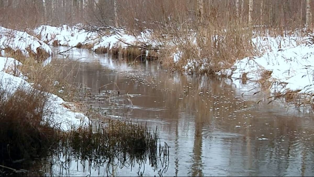Marraskuinen Jukajoki virtaa.