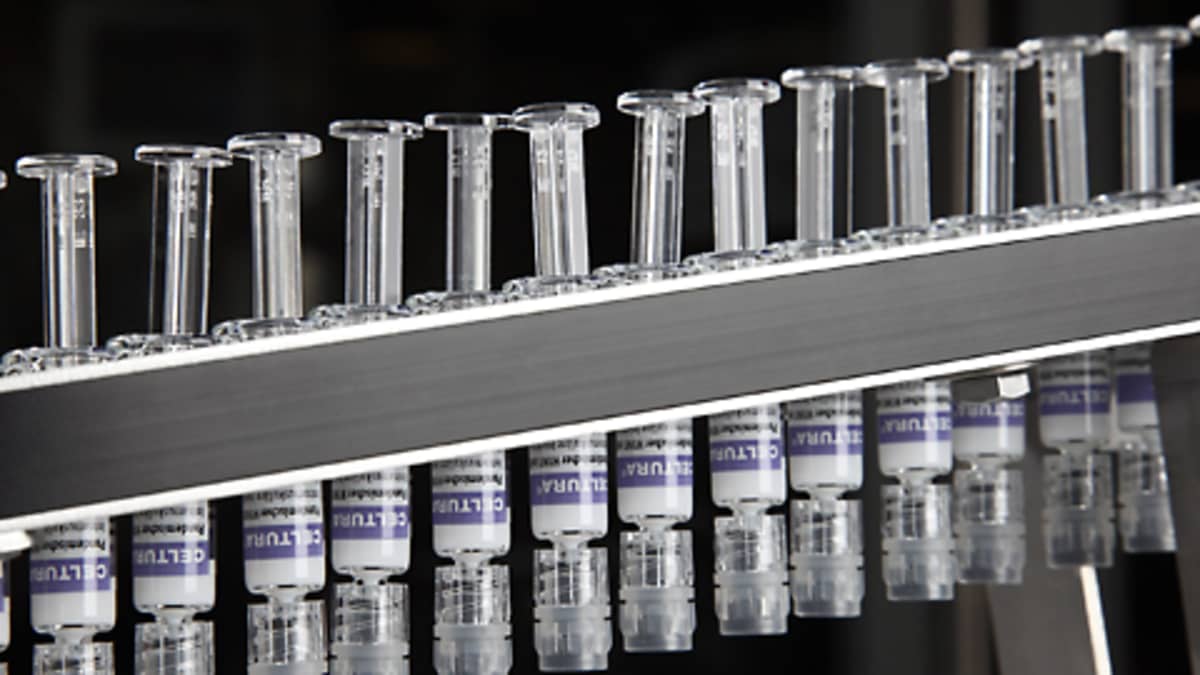Celtura-nimistä sikainfluenssarokotetta valmistetaan Saksan Marburgissa.