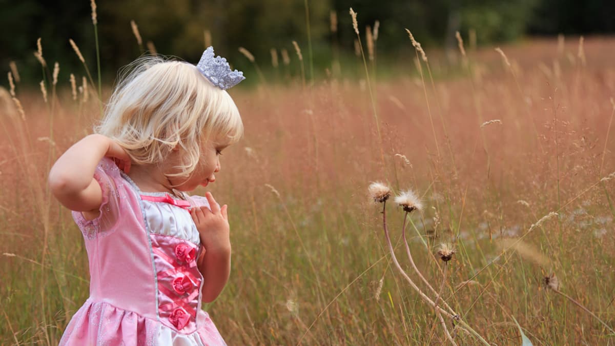 Pieni tyttö prinsessaksi pukeutuneena pellolla