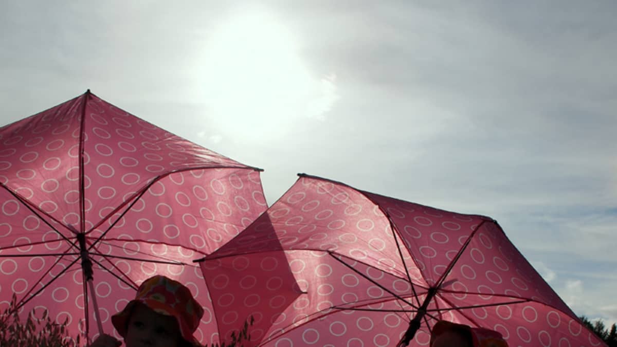 Kaksi taaperusta kävelevät ohrapellossa tummanpunaiset sateenvarjot kohotettuina aurinkoa lieventämään.