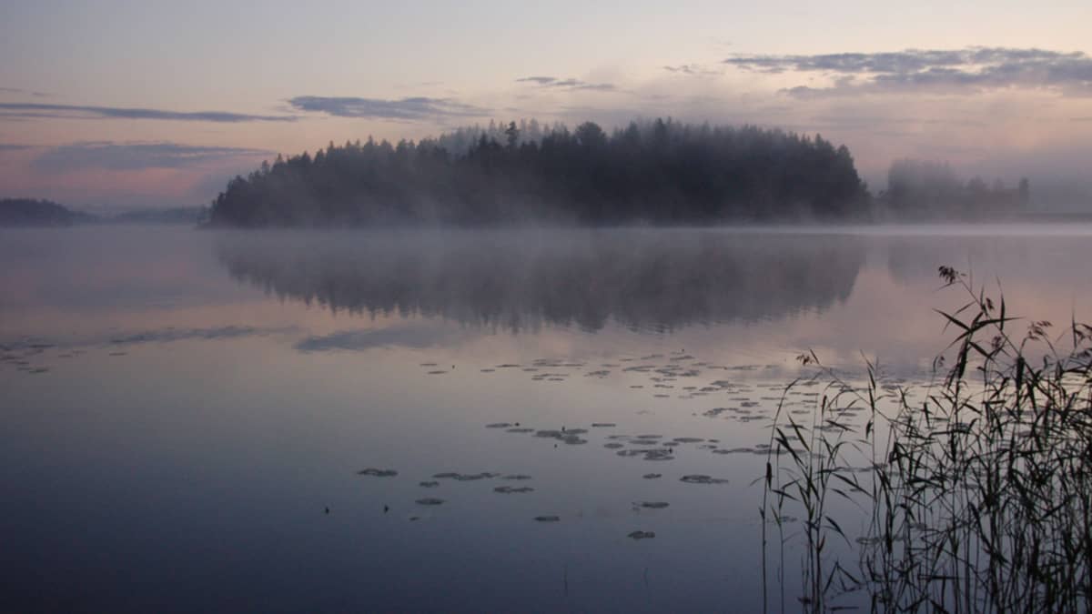 Helsinkiläisen Raimo Ketolaisen kesäkuva.