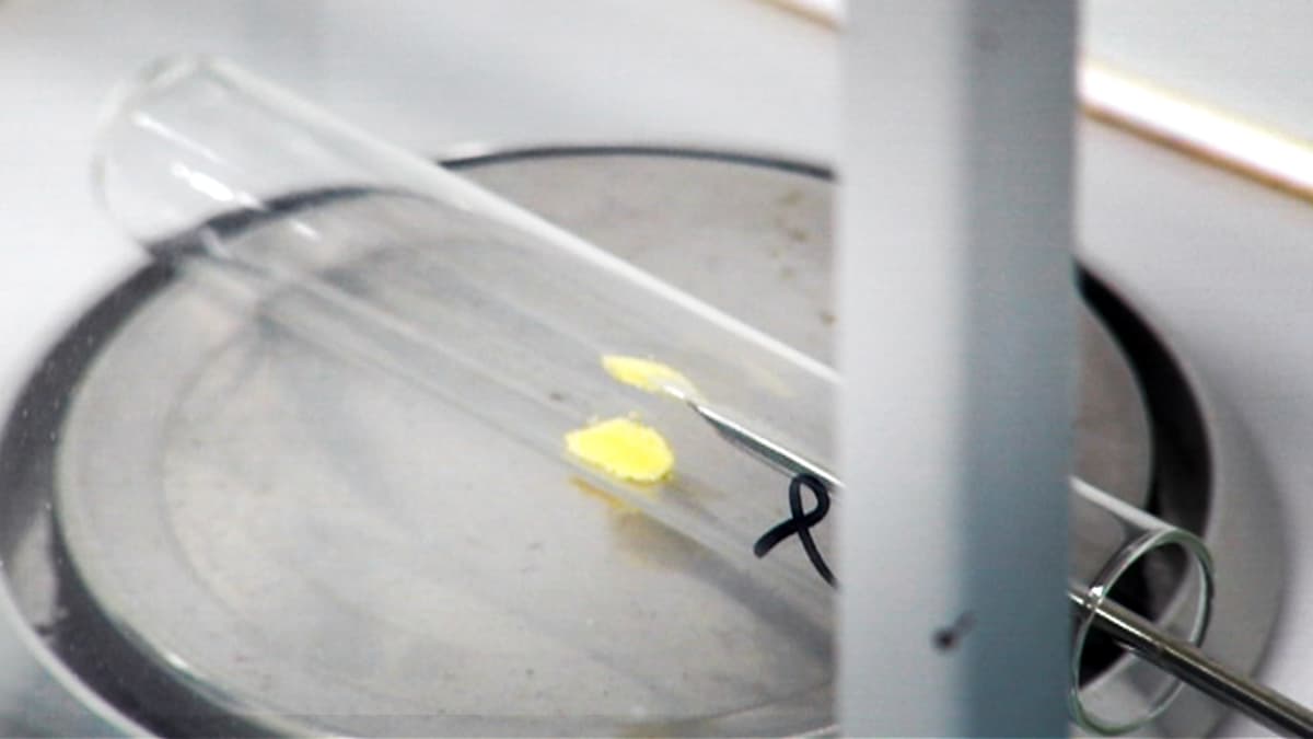 Jauhettua d-vitamiinitablettia tutkitaan laboratoriossa.