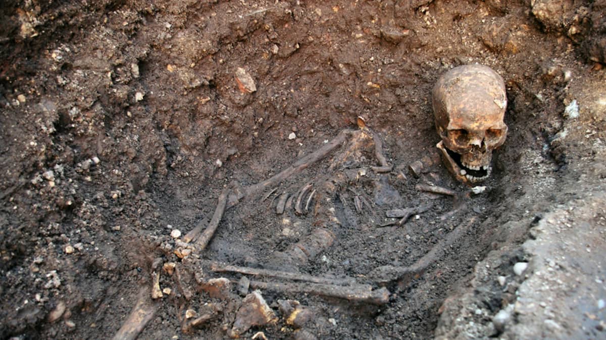 Vuonna 2012 löydetyt Richard III:n jäänteet.