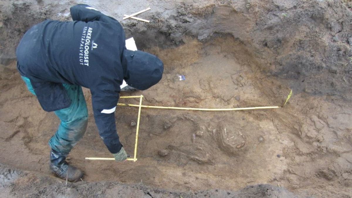 Tutkija mittaa ristiretkiajan ruumishautalöytöä marraskuun alussa 2013 Janakkalassa
