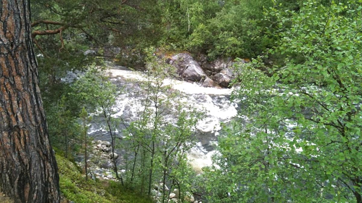 Keneskosken kuohuja Utsjoella