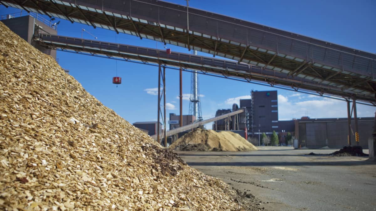 Puuhaketta, Fortumin Joensuun voimalaitoksen rakenteita