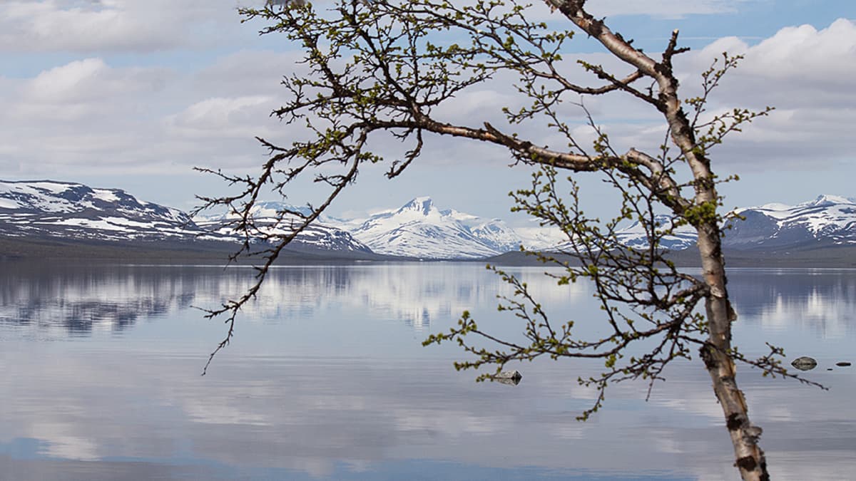 Kesäpäivä Kilpisjärvellä