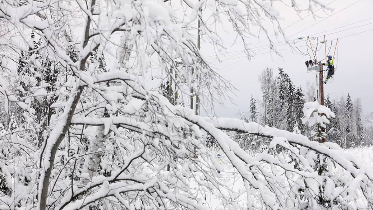 Sähköverkkoja kunnostettiin Keski-Suomessa maanantaina viikonlopun runsaiden lumisateiden ja sähkökatkojen jäljiltä.