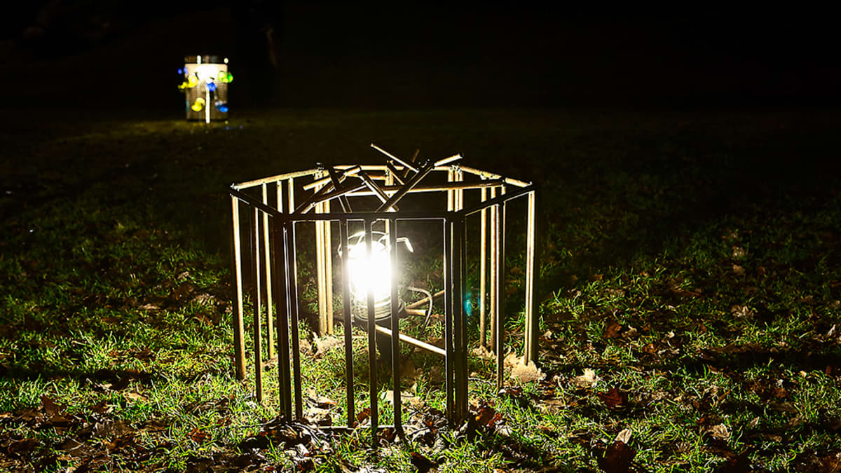 Lantern Park koostuu erilaisista lyhdyistä.