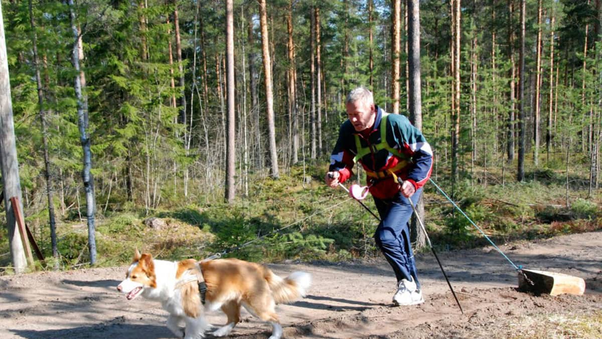 Kalevi Jokisuu