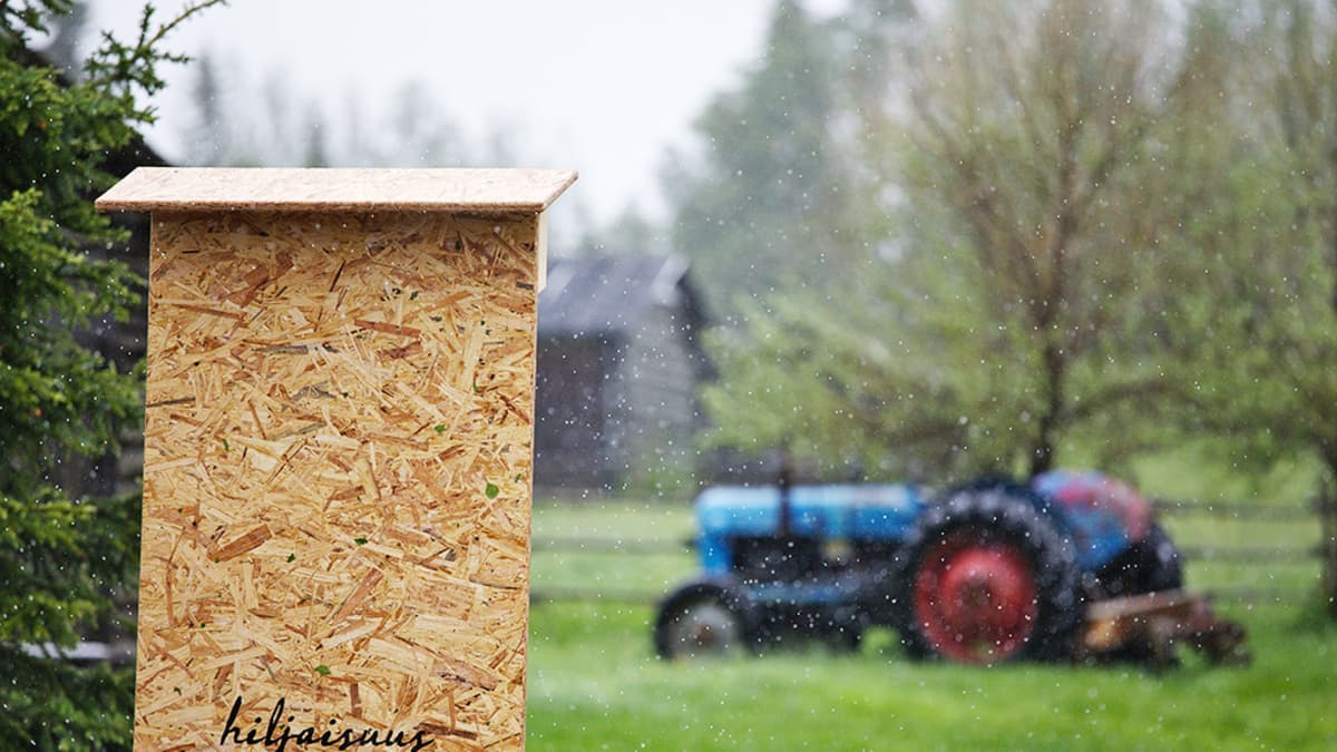 Hiljaisuus-festivaalilla on hiljaista.