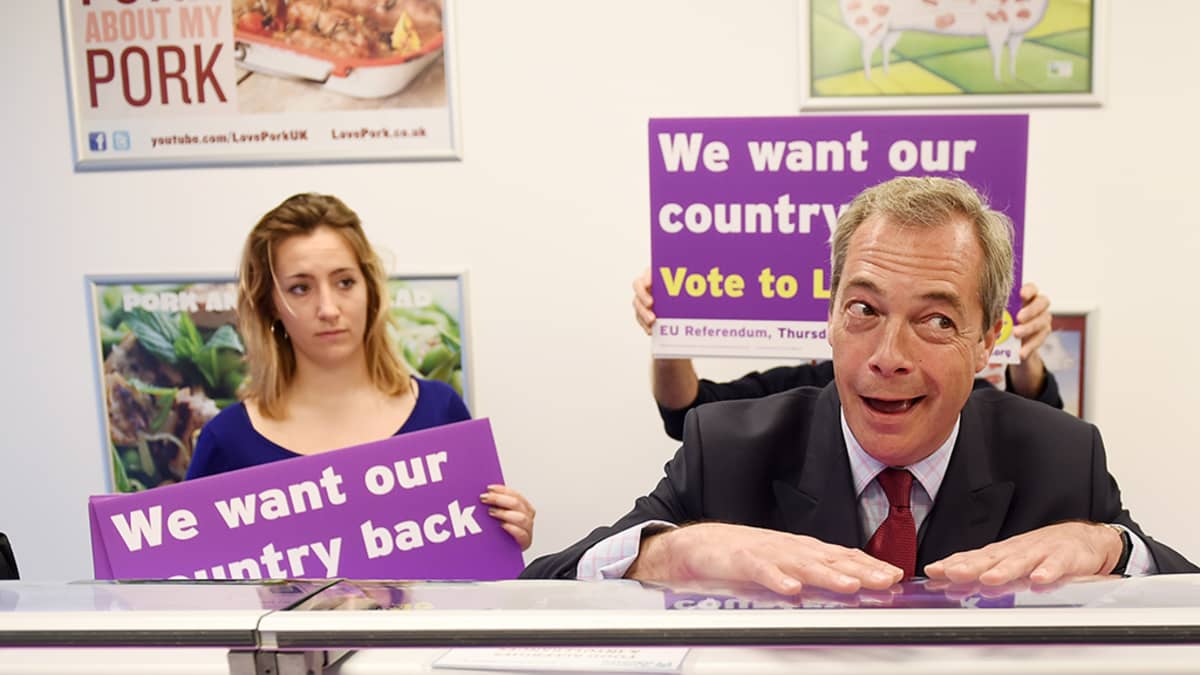 Britannian EU-eroa ajava Nigel Farage kampanjoimassa lihakaupassa Kentissä, Britanniassa, 13. kesäkuuta.