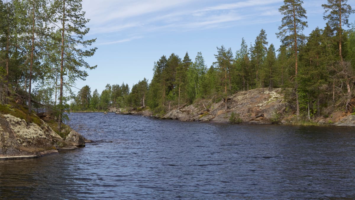 Etelä-Konneveden kansallispuistoa.