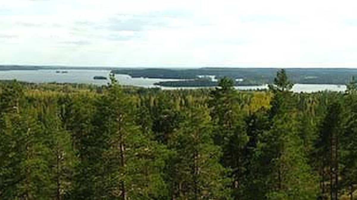Panoraamakuva Haralan näkötornista avautuvasta maisemasta.