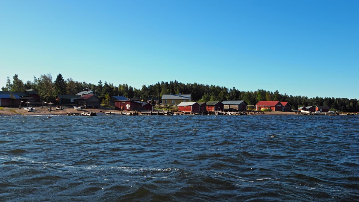 Syyskuinen Tammion saari