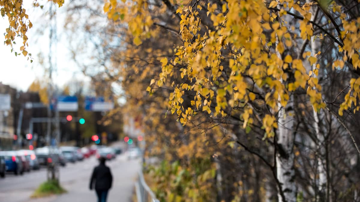 Ihminen kävelee yksin jalkakäytävällä syksyllä.