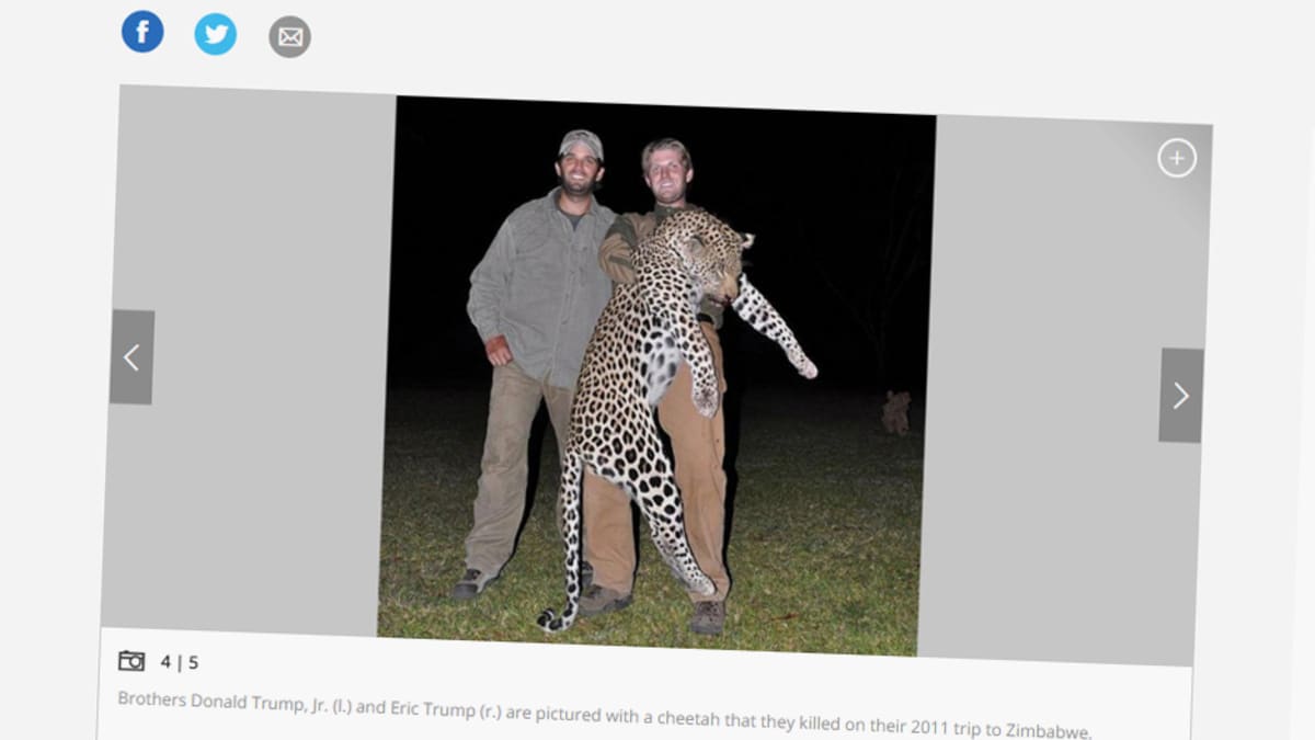Trumpin pojat poseeraavat tappamansa leopardin kanssa Zimbabwessa vuonna 2012.