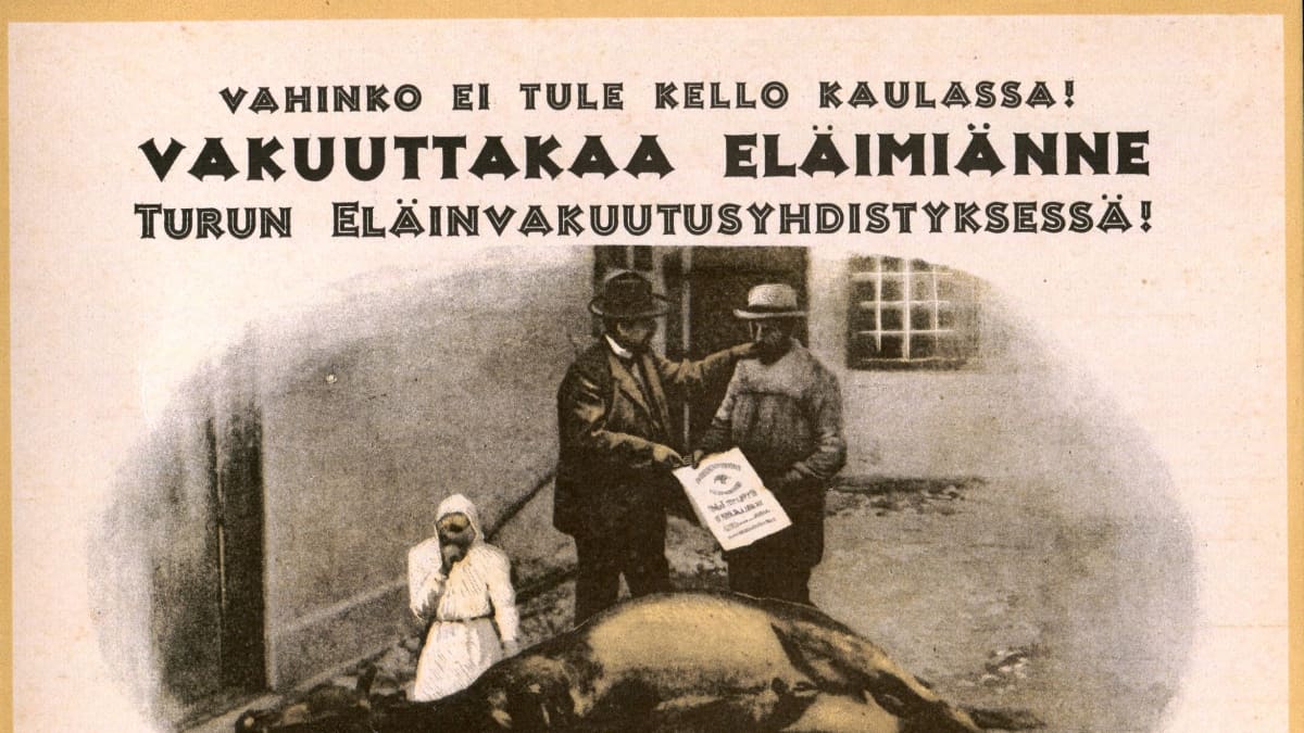 Mainos