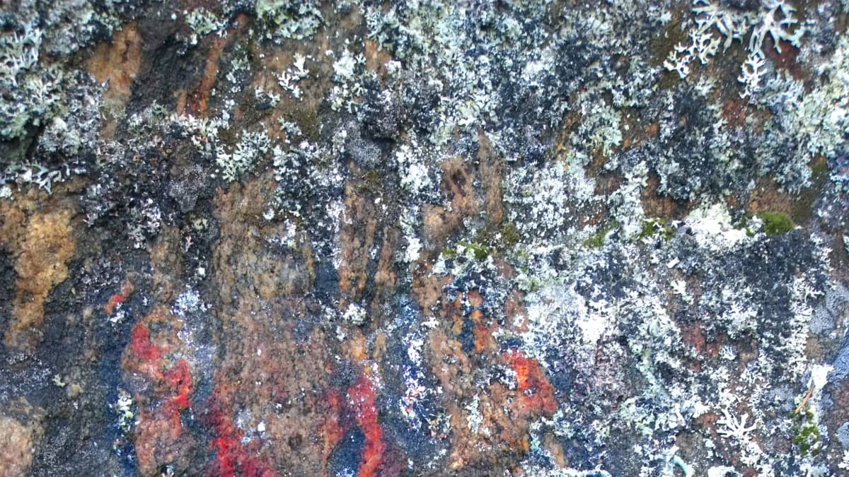 Kuva Karhuvuoren kalliomaalauksesta, jossa punaista väriä on korostettu.