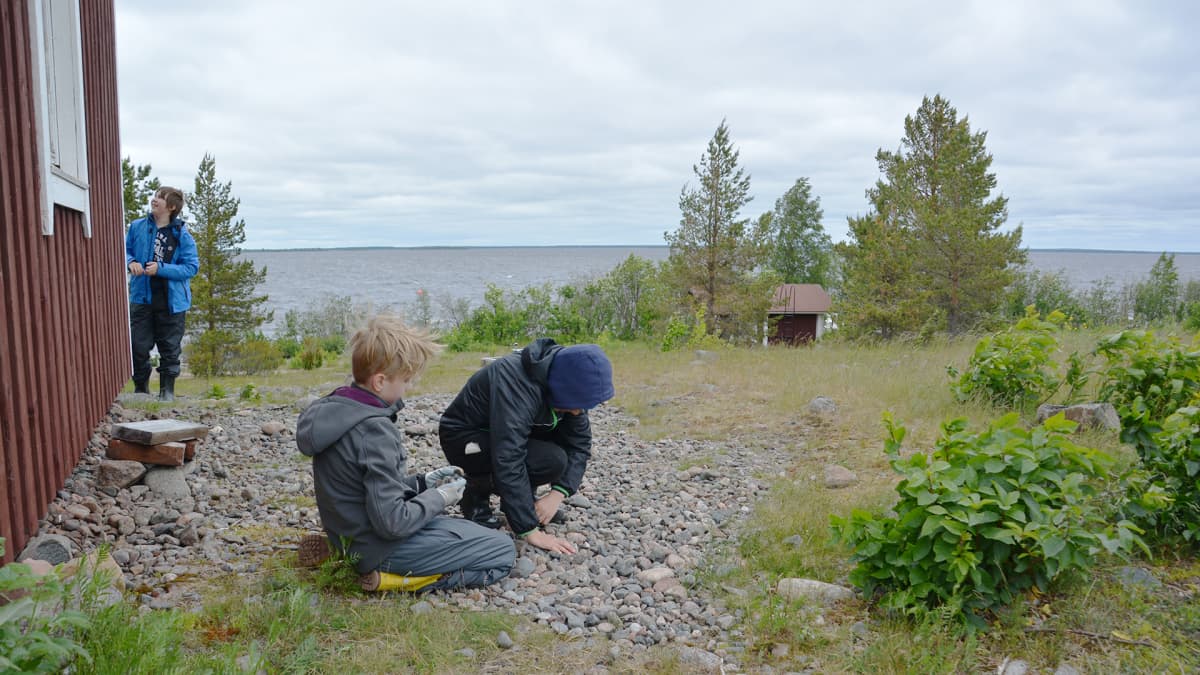 Perämeren kansallispuisto Vähä-Huituri.