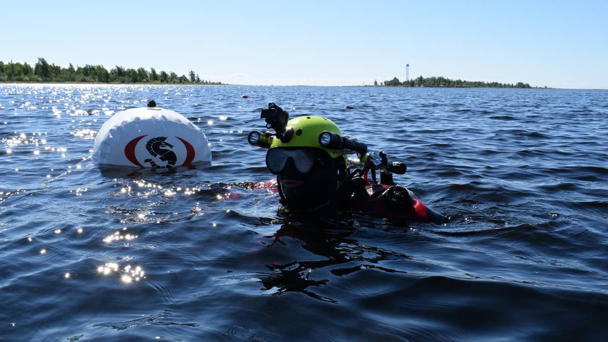 Vapaaehtoinen sukeltaja kunnostamassa Perämeren kansallispuiston vedenalaista luontopolkua.