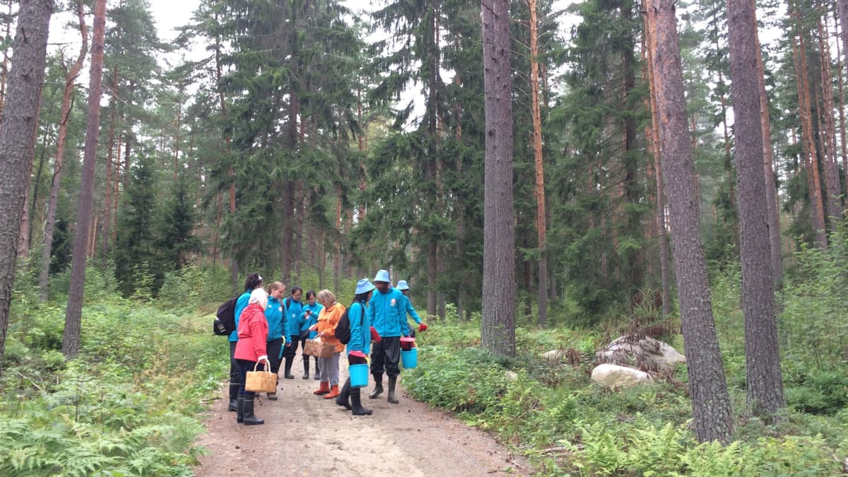 Retkeläiset metsäpolulla