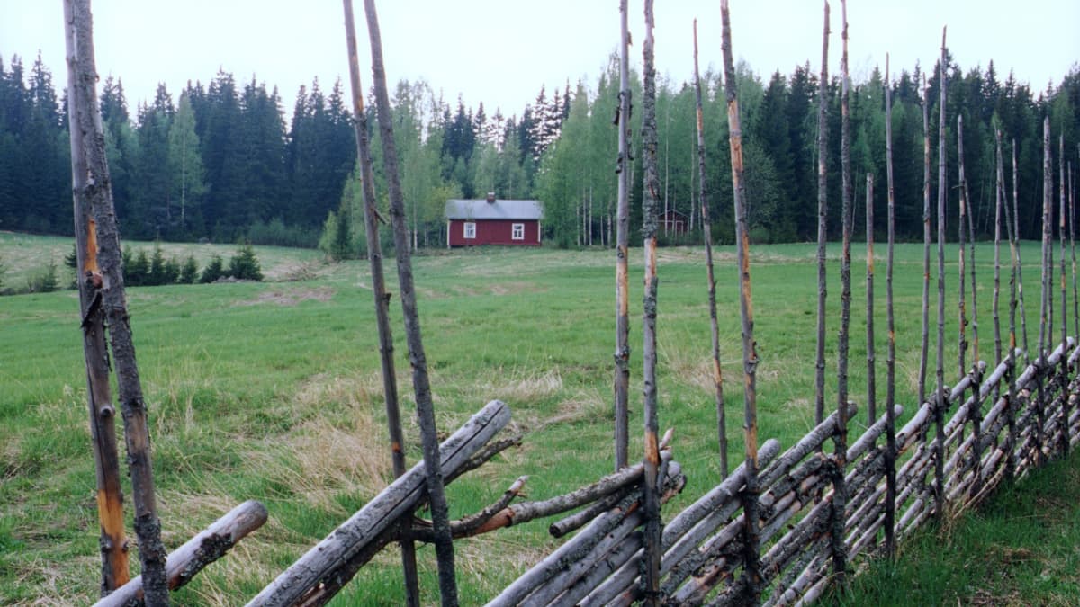 Pieni punainen talo metsän laidalla, peltoa edessä ja peltoa kiertää risuaita.