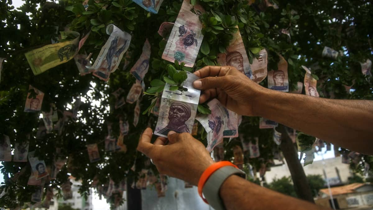 Venezuelassa arvoaan menettäneitä seteleitä ripustettiin koristeeksi puuhun joulukuun lopussa 2017.