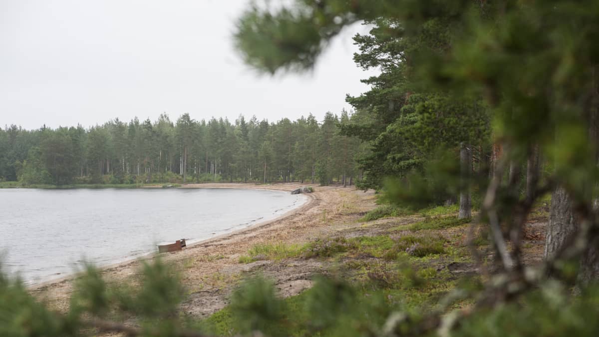 Ranta