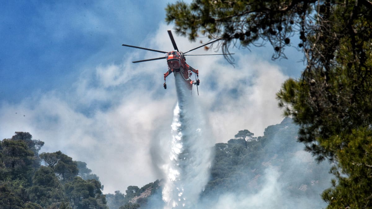 Helikopterista tiputetaan vettä palavaan metsään.