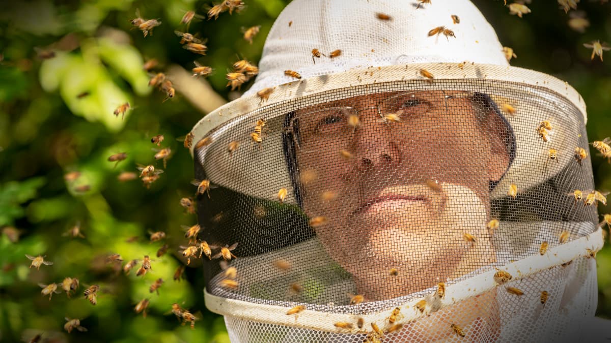 Mehiläistenhoitaja Hannu Torkkel.